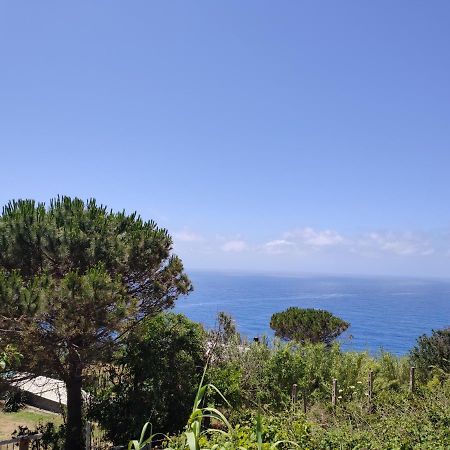 Casa De Somma Apartamento Forio di Ischia Exterior foto