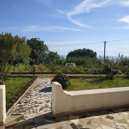 Casa De Somma Apartamento Forio di Ischia Exterior foto