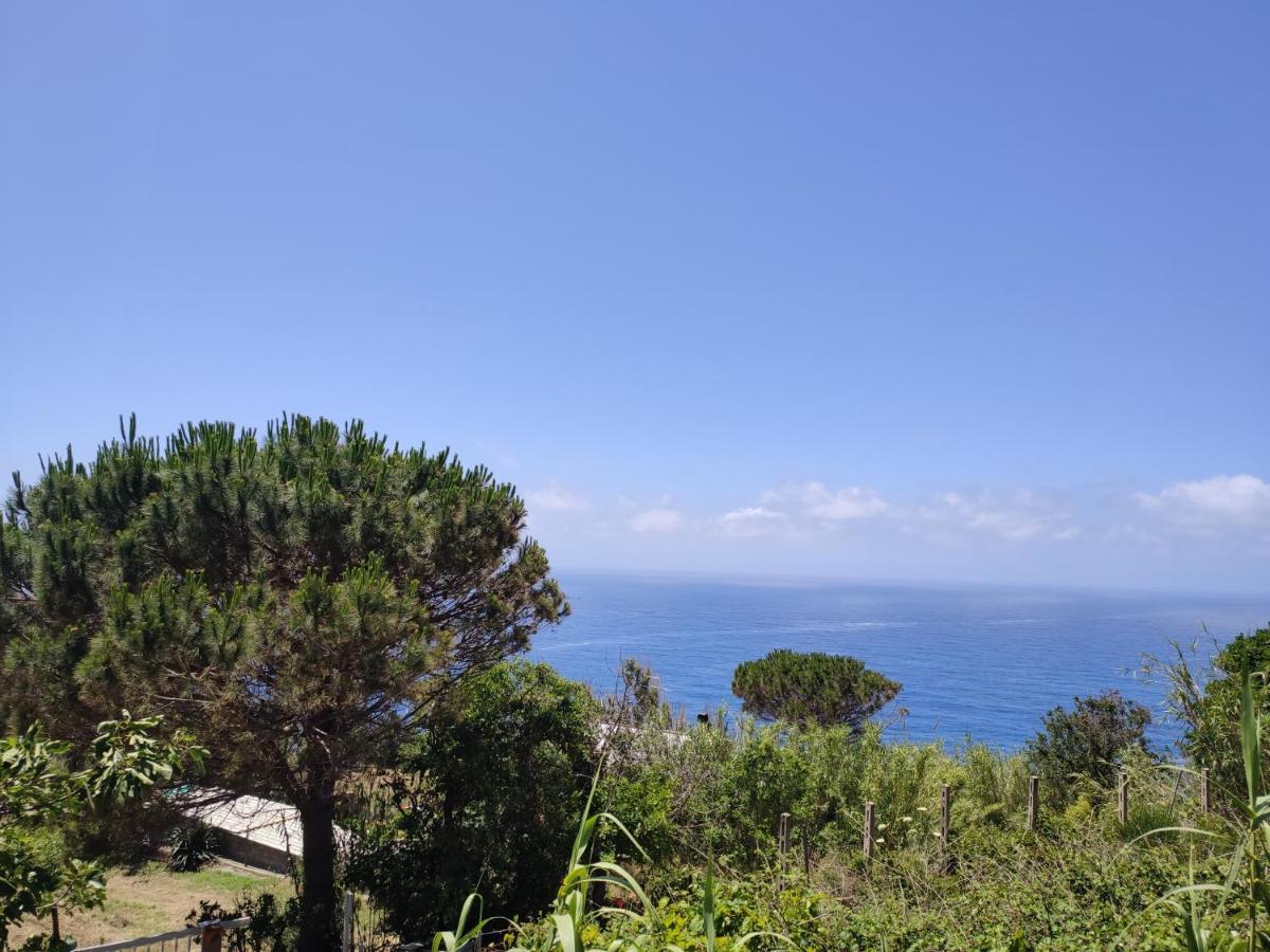 Casa De Somma Apartamento Forio di Ischia Exterior foto